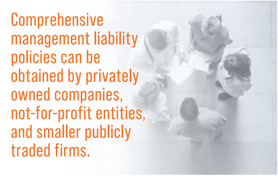 Comprehensive
management liability policies can be obtained by privately owned companies, not-for-profit entities, and smaller publicly traded firms.