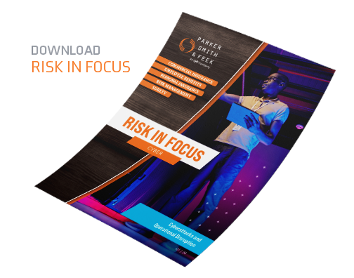 Risk in Focus / Cyber Q1 2024 PDF